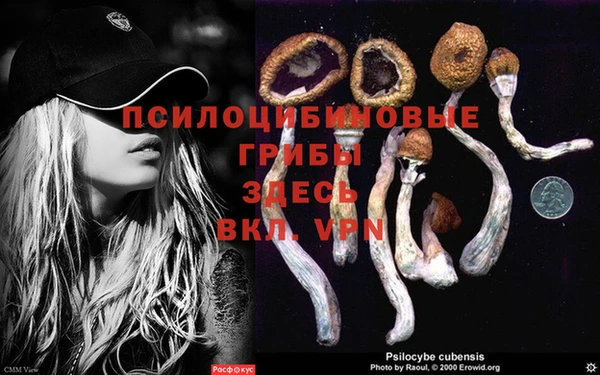 наркотики Козельск