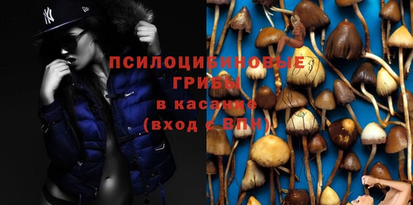 мяу мяу кристалл Козловка