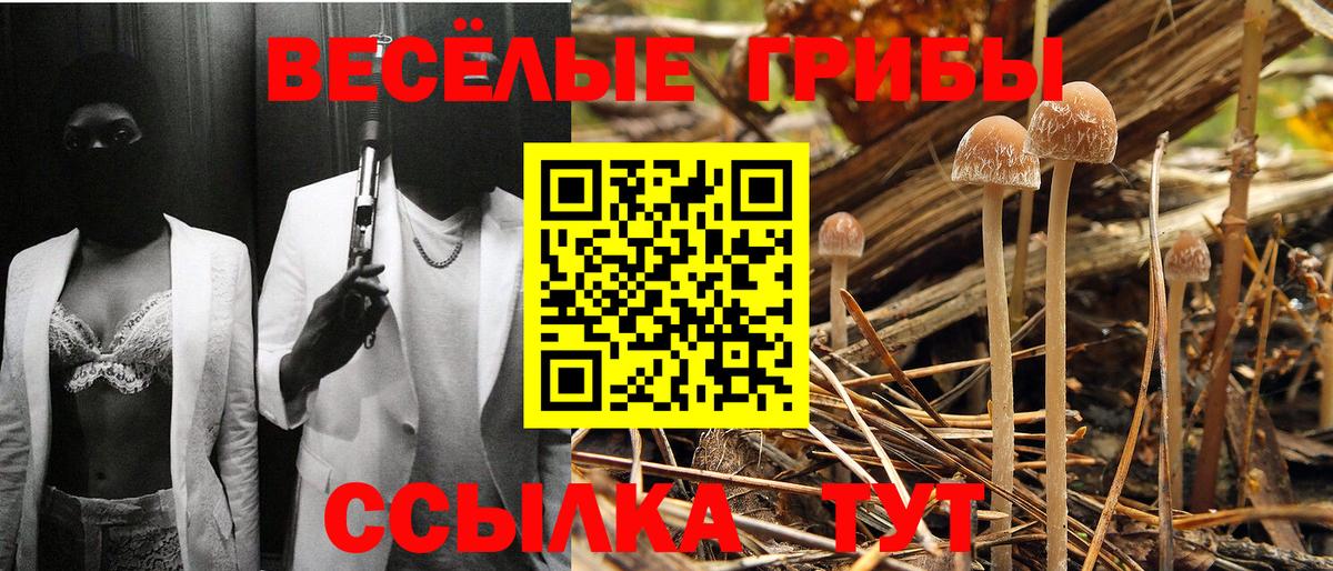 Псилоцибиновые грибы Magic Shrooms  Вход с VPN  Кинель 