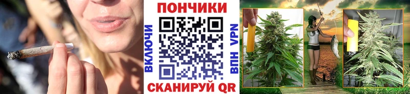 Бошки Шишки ГИДРОПОН где найти Кинель